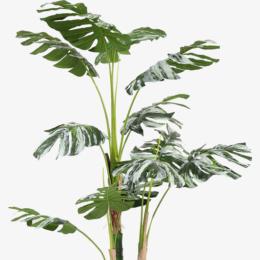Swiss cheese Plant Artificial plant