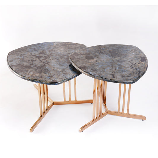 Round Tables Set of 2 Living Room with Golden Metal Stand Black Marble Top Finish Combination Large and Small Table