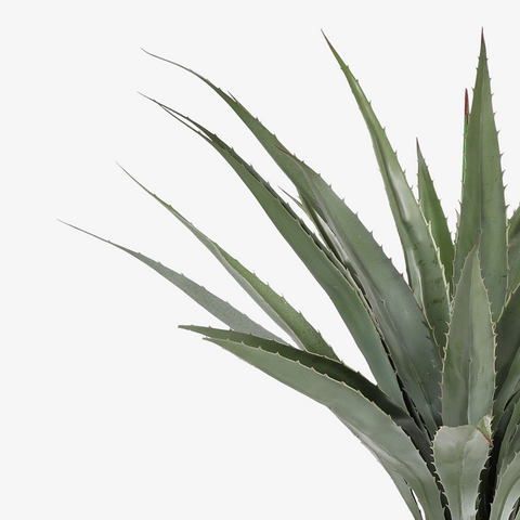 Agave tequilana Artificial Plant