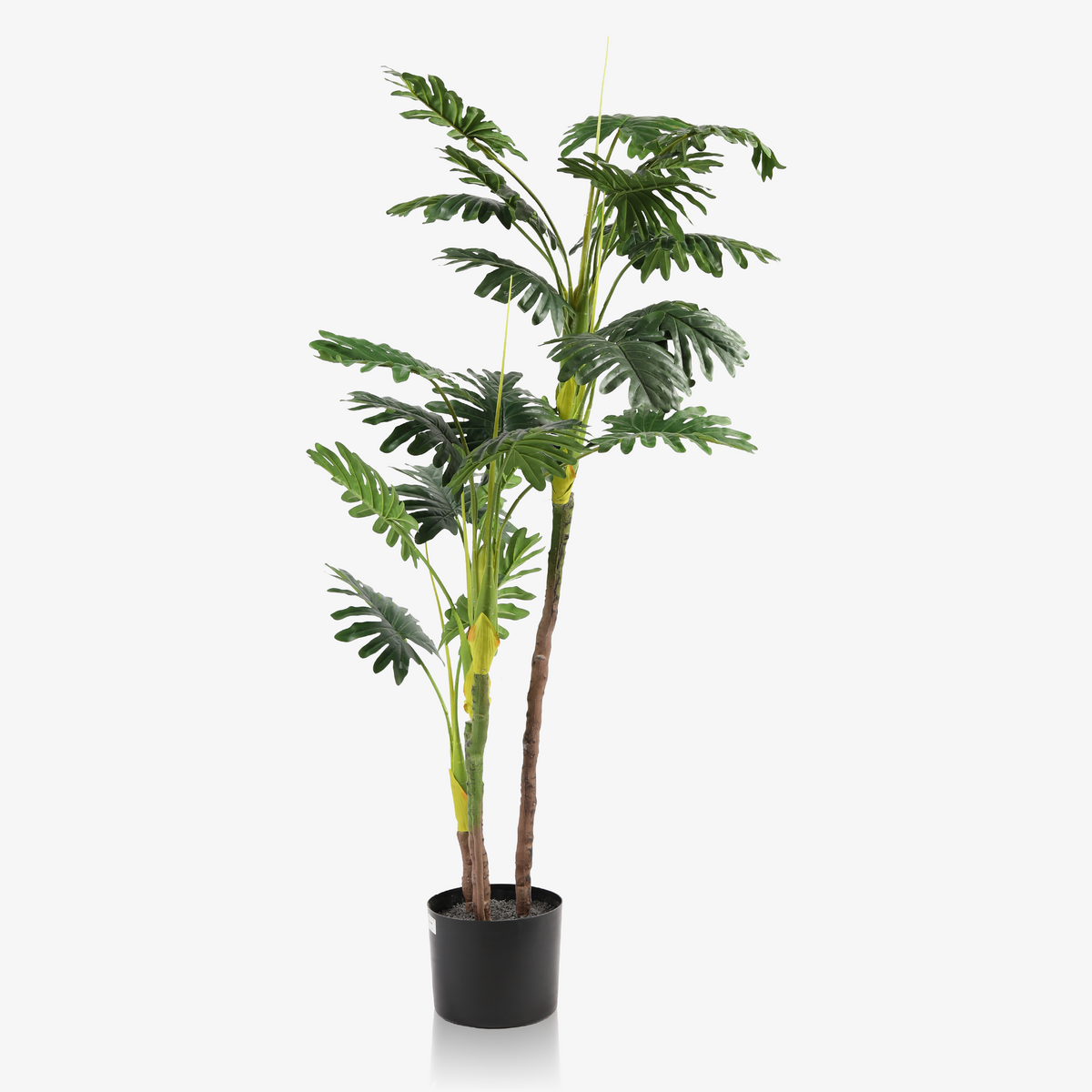 Swiss Cheese Artificial Plant
