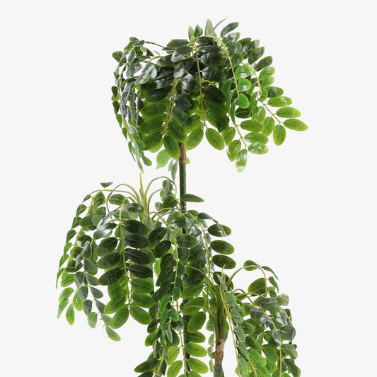 Artificial Green Shisham Plant