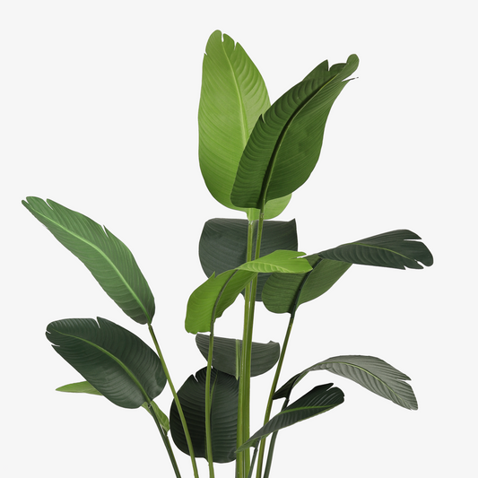 Artificial Plant Banana Leaves