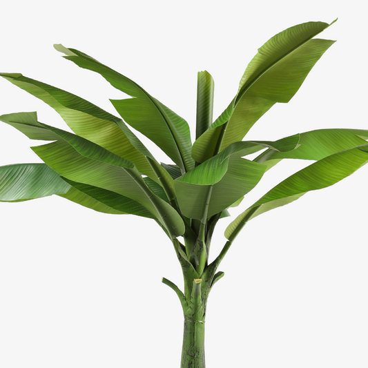 Musa Artificial Plant